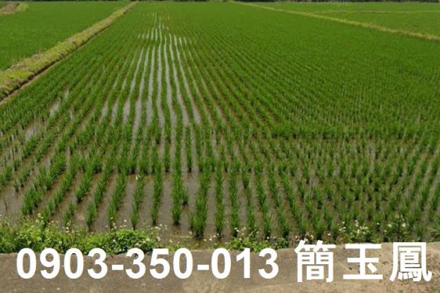 楊梅農地-0