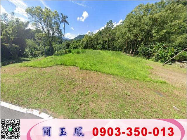 桃園大溪工業地-0