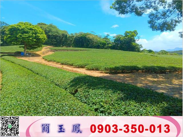 桃園龍潭農地-0