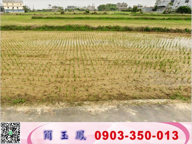 桃園農地-0